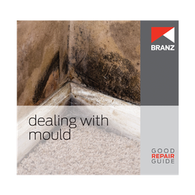 Good Repair Guide: Dealing with mould